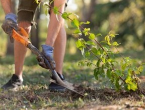 Gartenarbeit